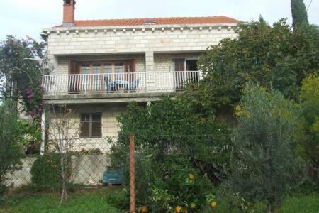 Honey Bee Cavtat Apartment Екстериор снимка