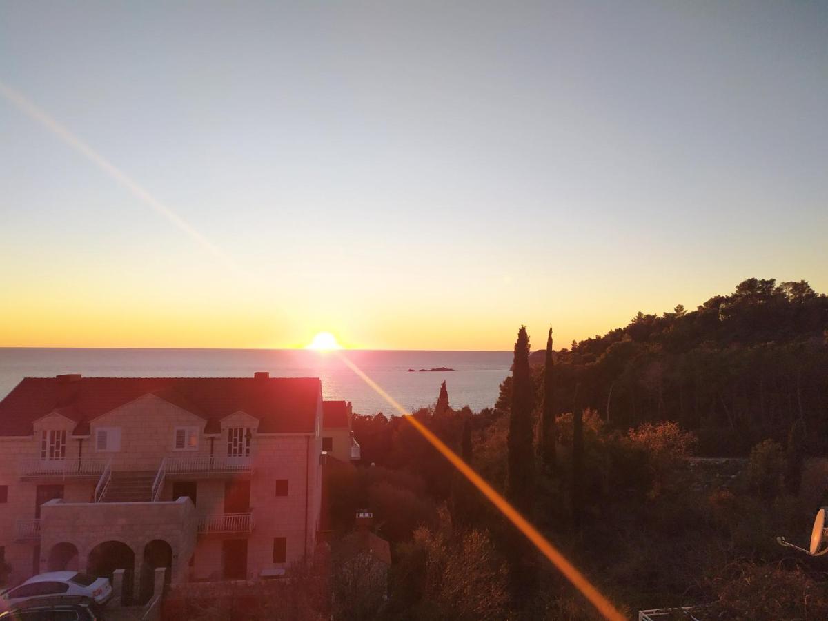 Honey Bee Cavtat Apartment Екстериор снимка