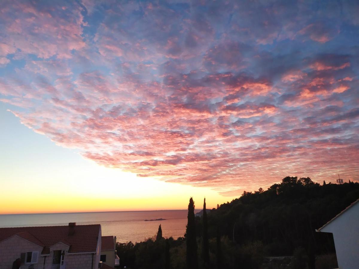 Honey Bee Cavtat Apartment Екстериор снимка